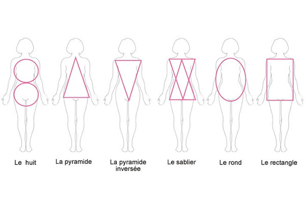 Morphologie corps